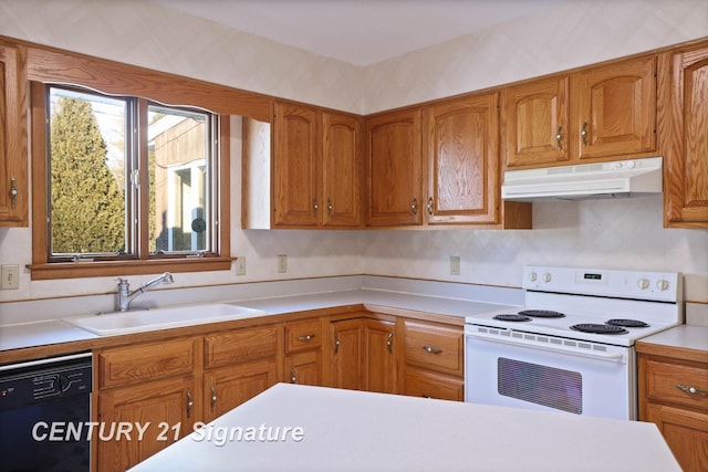 kitchen featuring black dishwasher, white range with electric stovetop, and sink