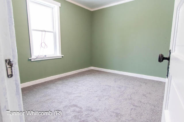 empty room with carpet floors and crown molding