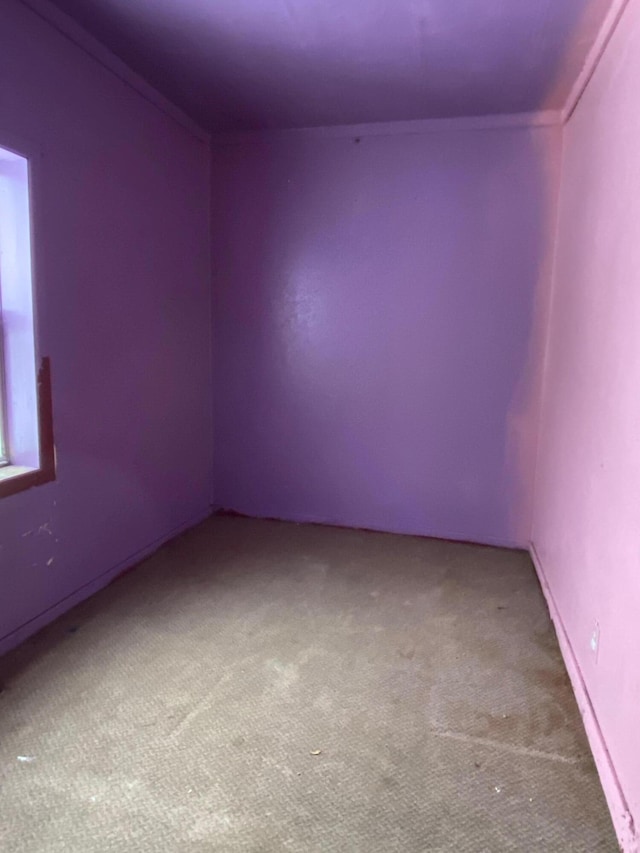 unfurnished room with carpet