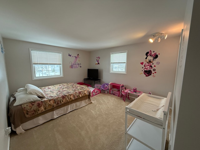 bedroom with carpet flooring