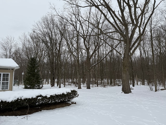 view of yard layered in snow