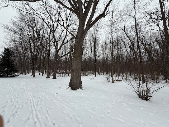 view of yard covered in snow