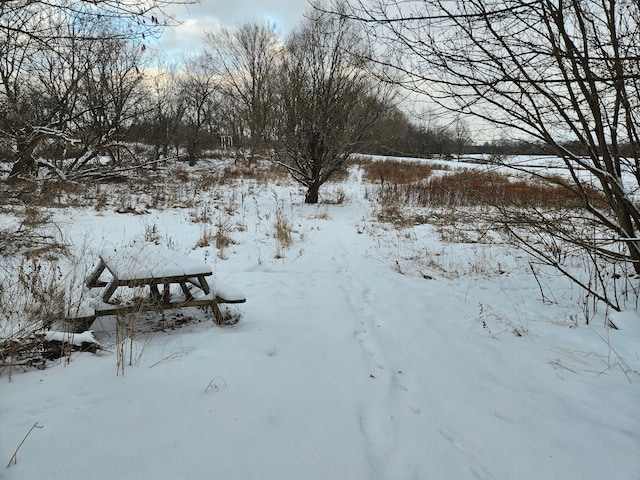 view of snowy yard