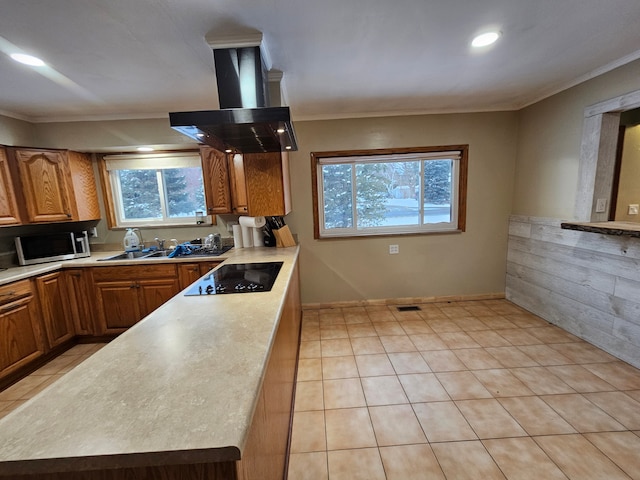 kitchen featuring black electric stovetop, island range hood, ornamental molding, and sink