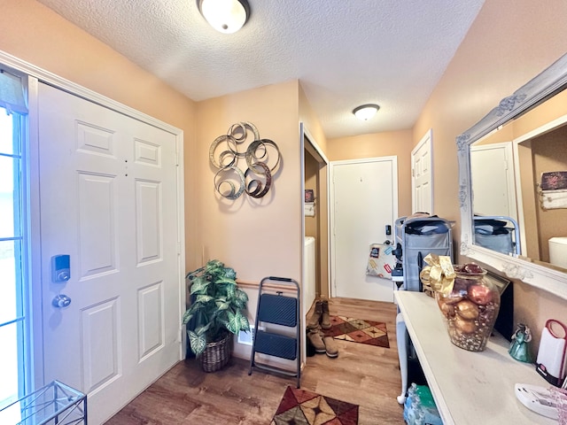 foyer with a textured ceiling, hardwood / wood-style flooring, and plenty of natural light