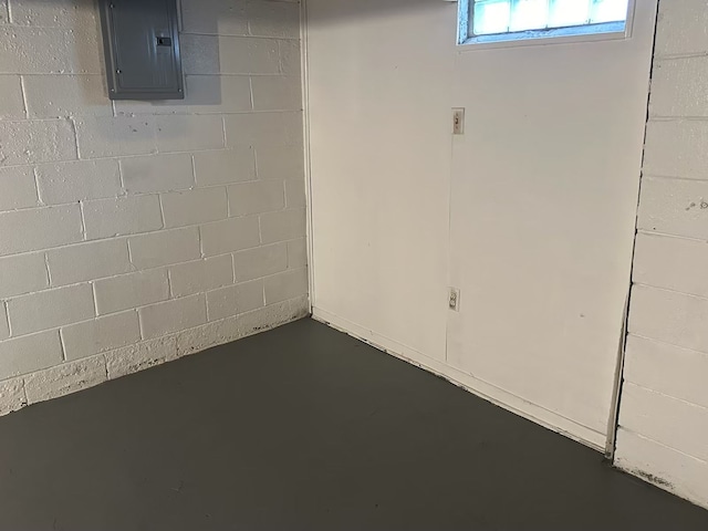 basement featuring electric panel