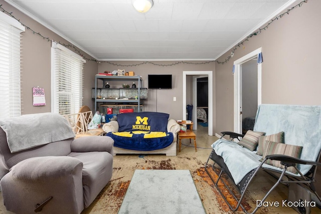 living room featuring crown molding