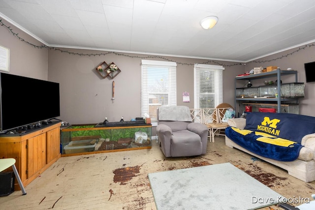 living room with ornamental molding