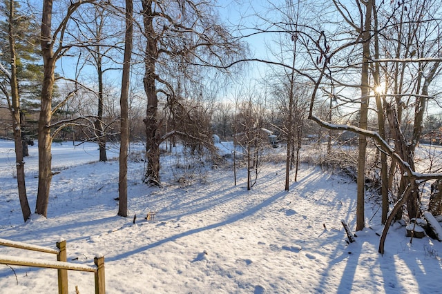 view of yard layered in snow