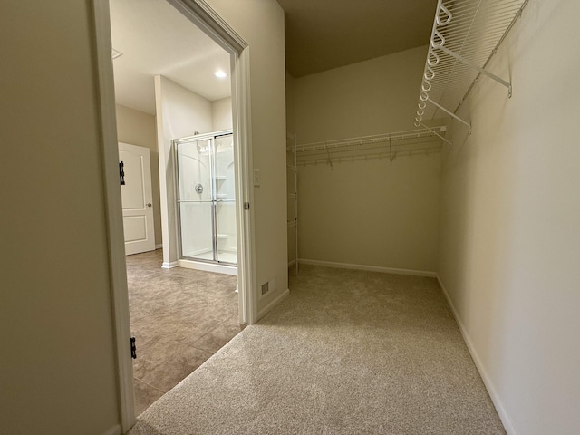 spacious closet with light carpet