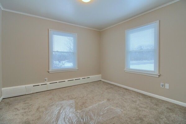 carpeted empty room featuring ornamental molding, a baseboard radiator, and plenty of natural light