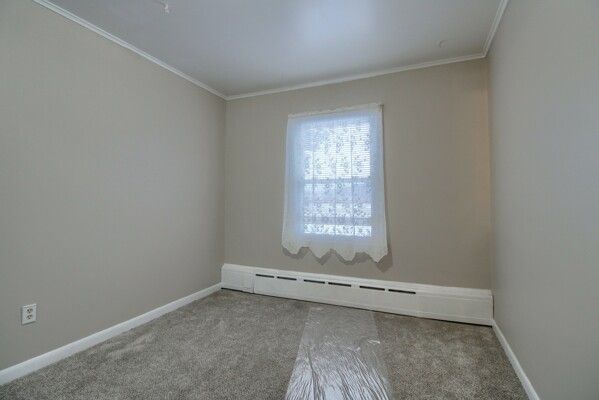 spare room with a baseboard radiator, crown molding, and carpet flooring