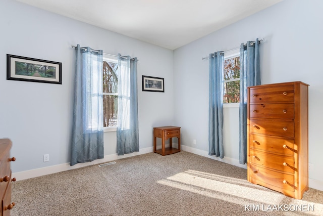 interior space featuring carpet flooring and a healthy amount of sunlight