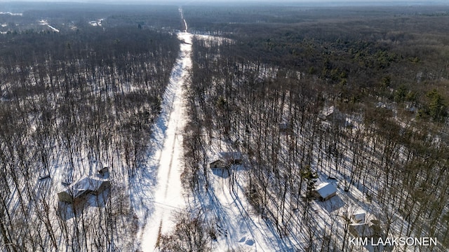 drone / aerial view