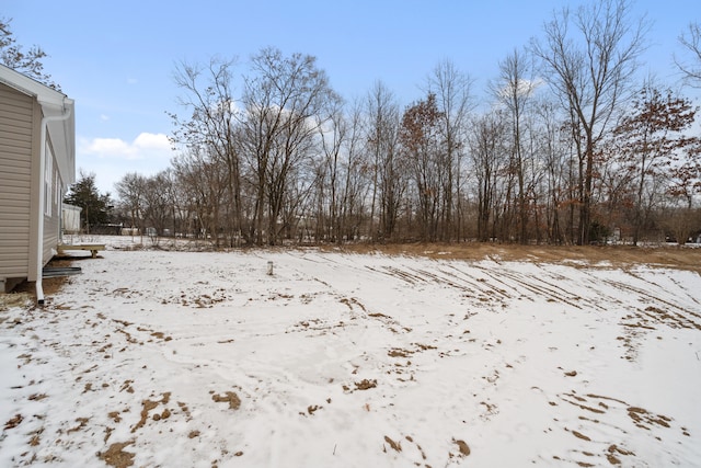 view of yard layered in snow