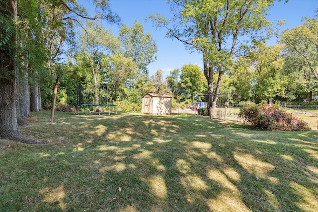 view of yard with a storage shed and a trampoline