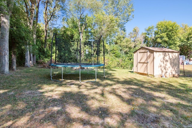 view of yard featuring a shed and a trampoline