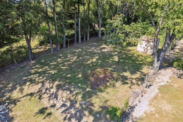 view of yard featuring a shed