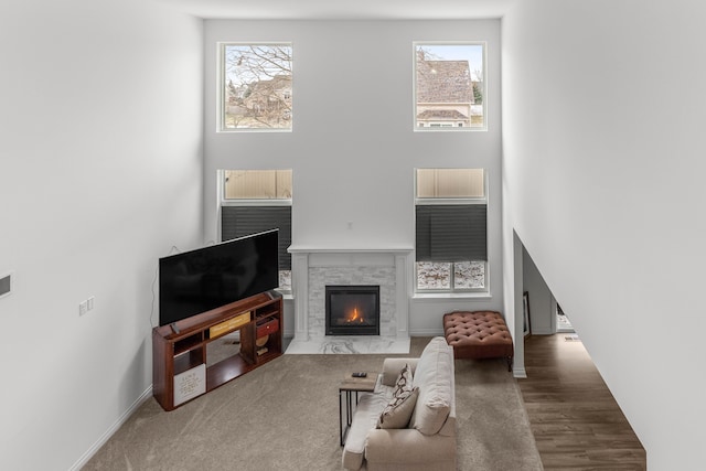 living room with a high ceiling