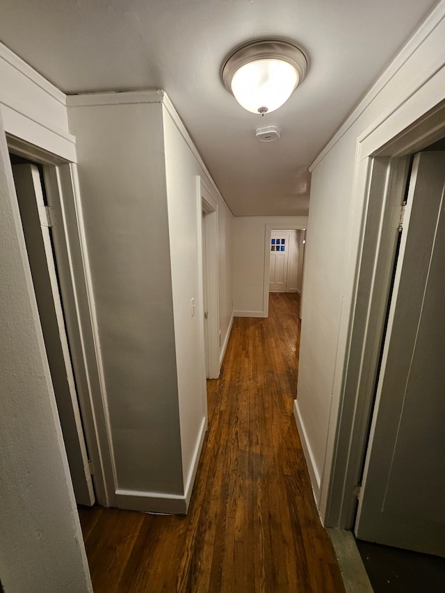 hallway with dark hardwood / wood-style floors