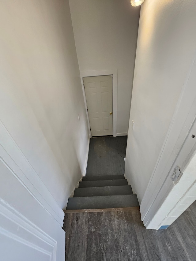 staircase with hardwood / wood-style flooring