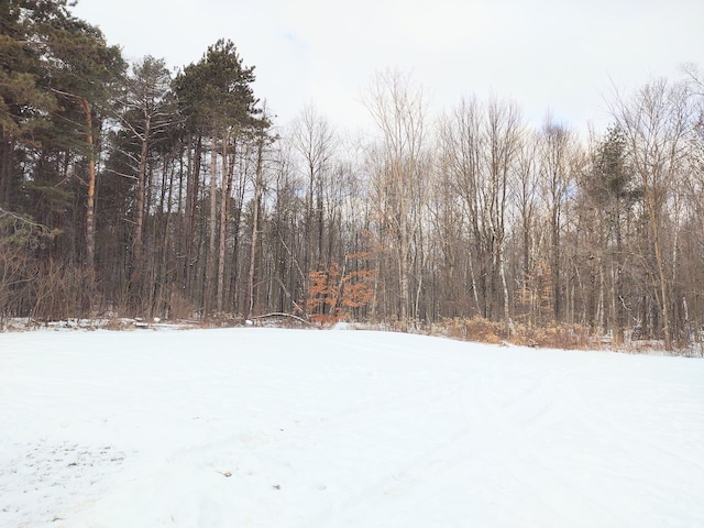 view of snowy yard