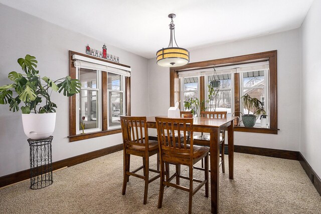 dining space featuring carpet