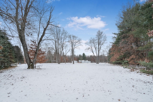 view of snowy yard