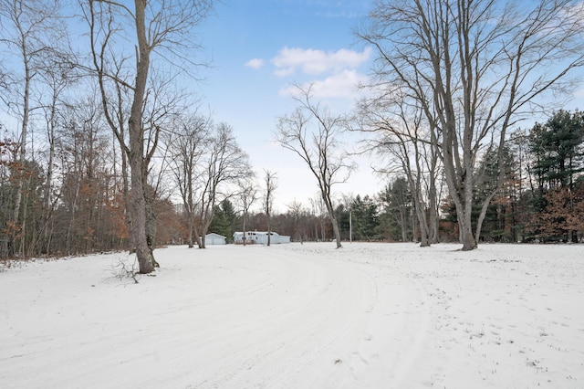 view of yard layered in snow