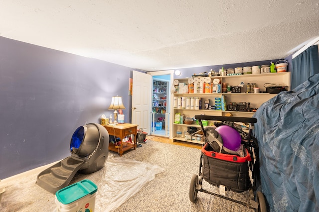 interior space featuring carpet and a textured ceiling