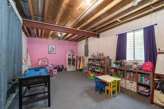 game room featuring carpet flooring and electric panel