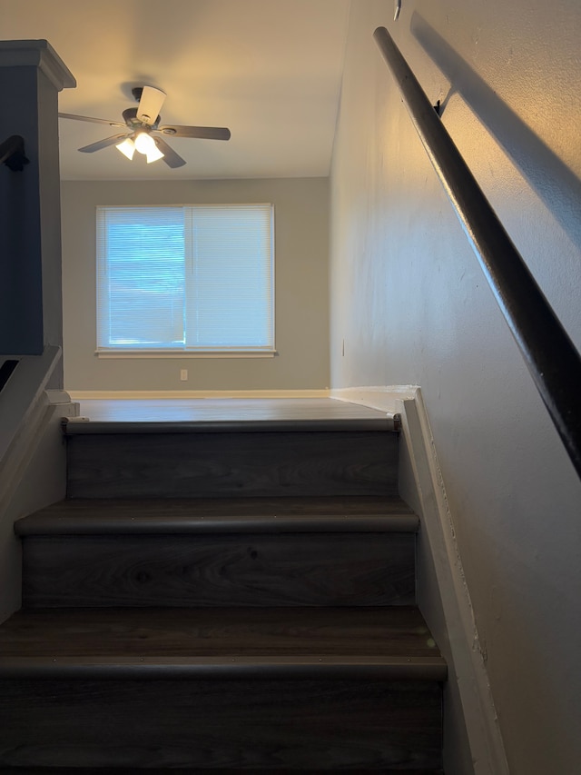 stairway with ceiling fan