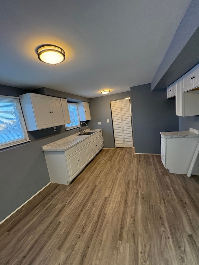 kitchen featuring white cabinets, plenty of natural light, wood-type flooring, and sink