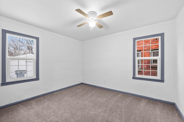 unfurnished room featuring ceiling fan, carpet floors, and ornamental molding