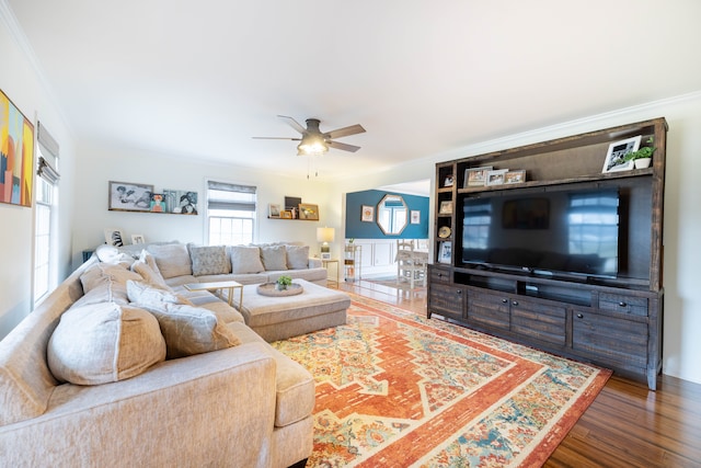 living room featuring ceiling fan, crown molding, and dark wood-type flooring