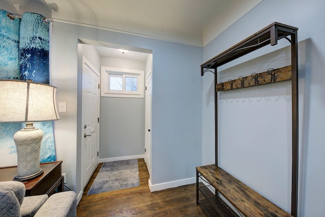 mudroom featuring dark wood-type flooring