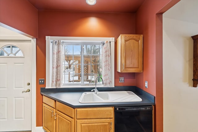 kitchen with sink and black dishwasher