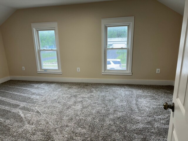 additional living space with carpet floors, a wealth of natural light, and vaulted ceiling