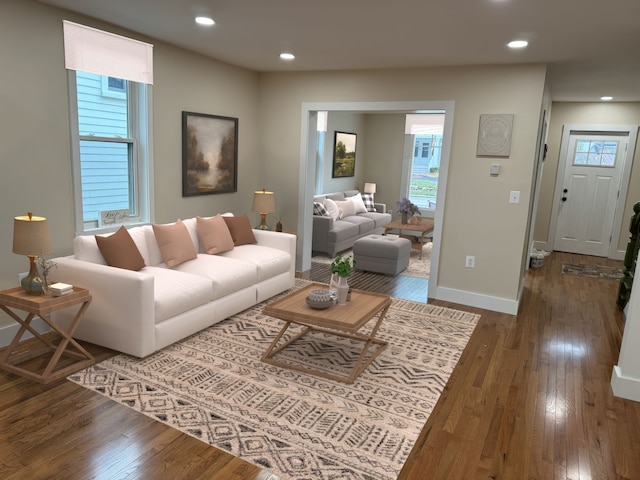 living room with wood-type flooring