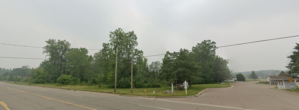9165 Saginaw Rd, Mount Morris, MI 48458
