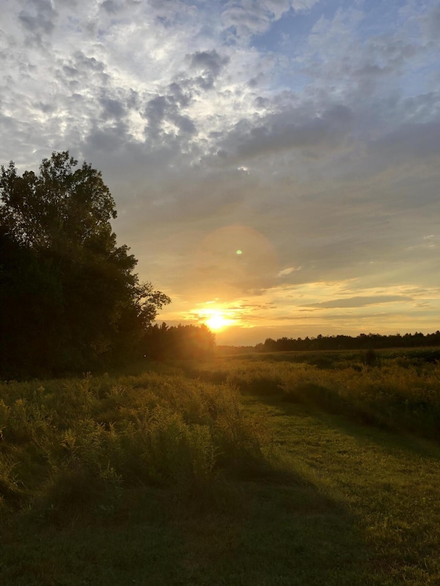 view of nature at dusk