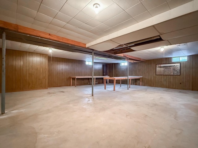 basement with wooden walls