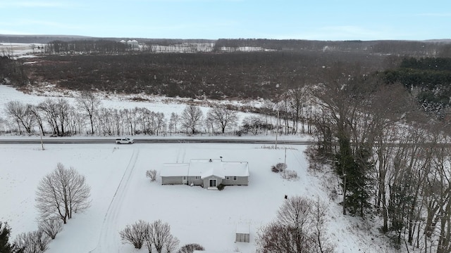 view of snowy aerial view