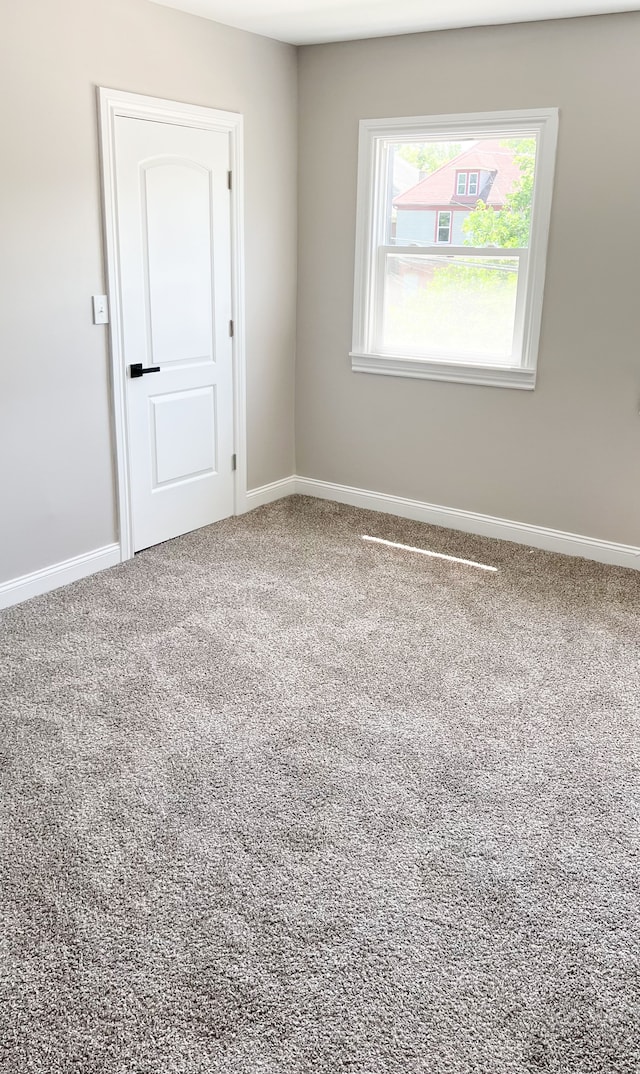 spare room featuring carpet floors