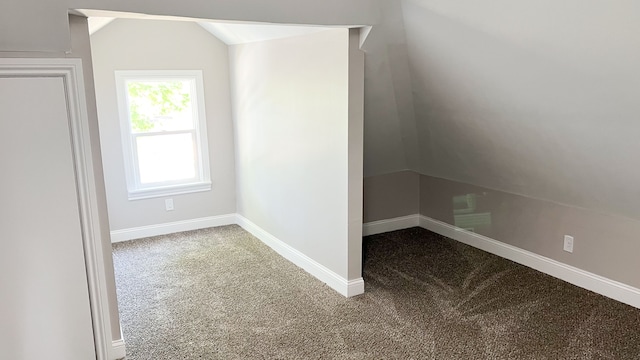 bonus room with carpet and vaulted ceiling