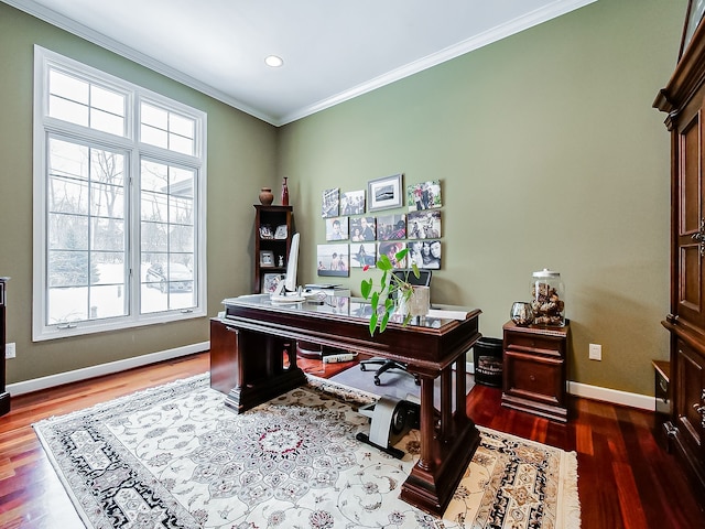 office with crown molding and hardwood / wood-style floors