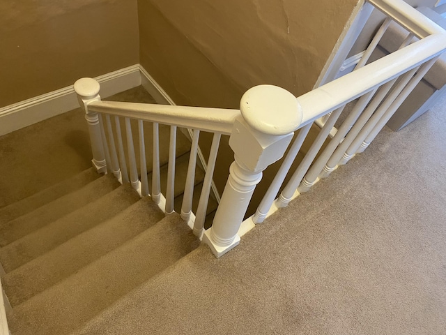 staircase featuring carpet floors