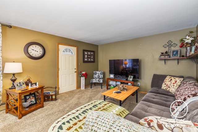 living room featuring carpet flooring