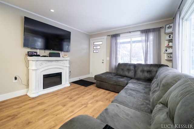 living room with ornamental molding and light hardwood / wood-style flooring