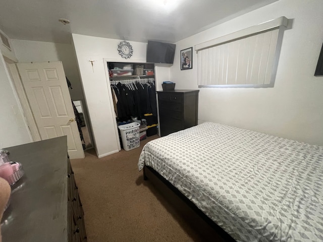 bedroom featuring carpet floors and a closet